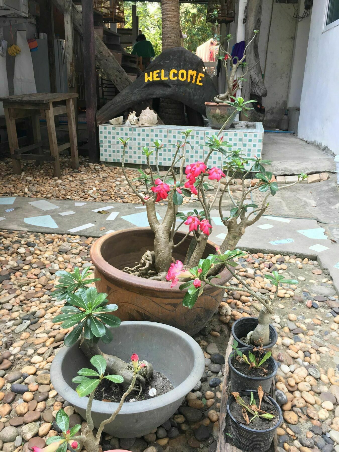 Miss Hong House Hotel Koh Samet Luaran gambar